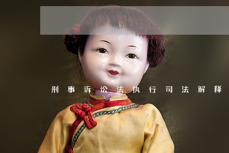 刑事诉讼法执行司法解释 刑事诉讼法执行司法解释