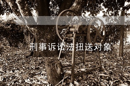 刑事诉讼法扭送对象 刑事诉讼法扭送对象