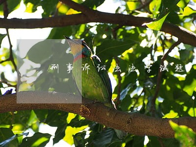 刑事诉讼法法学试题 刑事诉讼法法学试题