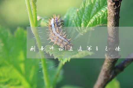 刑事诉讼法法第82条 刑事诉讼法法第82条