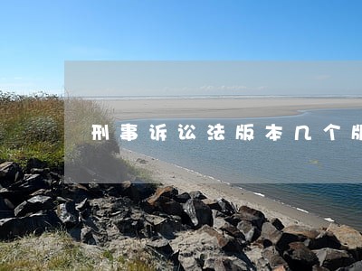 刑事诉讼法版本几个版本 刑事诉讼法版本几个版本