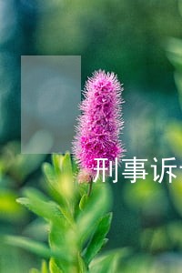 刑事诉讼法的发展历史 刑事诉讼法的发展历史