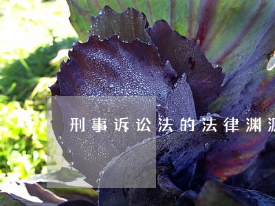 刑事诉讼法的法律渊源 刑事诉讼法的法律渊源