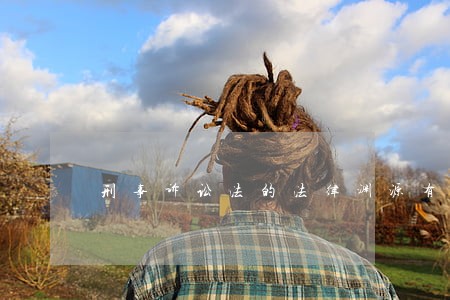 刑事诉讼法的法律渊源有哪些 刑事诉讼法的法律渊源有哪些