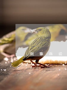 刑事诉讼法第一百七十七条第二款 刑事诉讼法第一百七十七条第二款