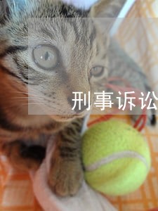 刑事诉讼法第七十六条 刑事诉讼法第七十六条