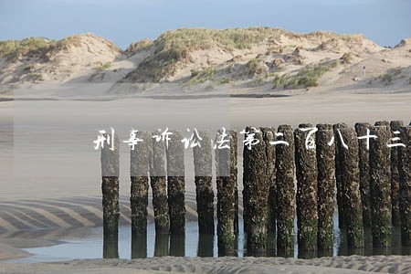 刑事诉讼法第二百八十三条 刑事诉讼法第二百八十三条