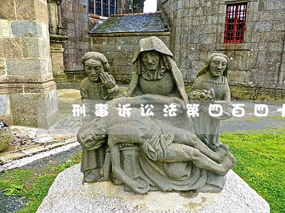 刑事诉讼法第四百四十四条 刑事诉讼法第四百四十四条
