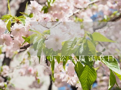 刑事诉讼法精读书目 刑事诉讼法精读书目