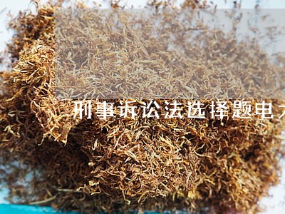 刑事诉讼法选择题电大 刑事诉讼法选择题电大
