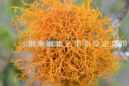 刑事诉讼法重新鉴定费用 刑事诉讼法重新鉴定费用