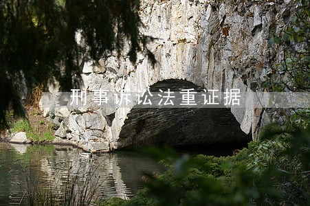 刑事诉讼法重证据 刑事诉讼法重证据