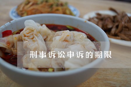 刑事诉讼申诉的期限 刑事诉讼申诉的期限