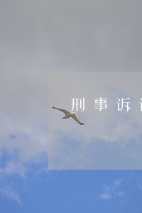 刑事诉讼的诉讼原则 刑事诉讼的诉讼原则