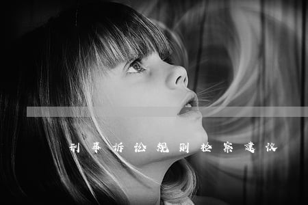 刑事诉讼规则检察建议 刑事诉讼规则检察建议