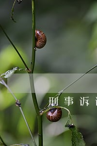 刑事诉讼违法监督包括 刑事诉讼违法监督包括