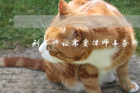刑事诉讼需要律师事务所收费 刑事诉讼需要律师事务所收费