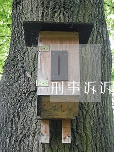刑事诉诉讼时效 刑事诉诉讼时效