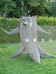 刑事责任在刑法理论上的地位