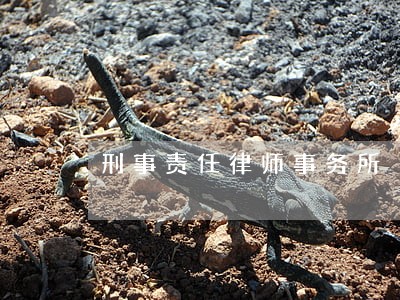 刑事责任律师事务所 刑事责任律师事务所