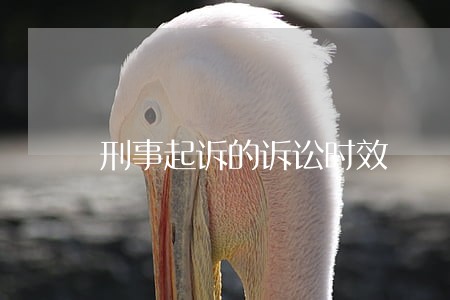 刑事起诉的诉讼时效