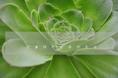 刑事辩护大律师咨询 刑事辩护大律师咨询