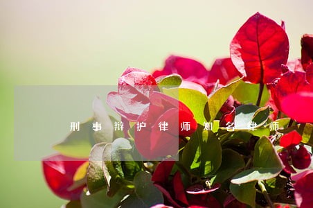 刑事辩护律师知名律师 刑事辩护律师知名律师