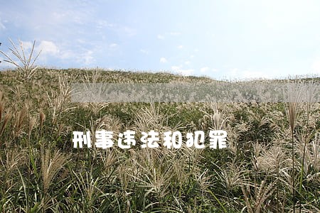 刑事违法和犯罪 刑事违法和犯罪