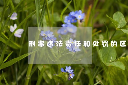 刑事违法责任和处罚的区别 刑事违法责任和处罚的区别