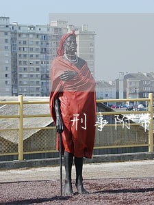 刑事附带民事公益诉讼出庭预案