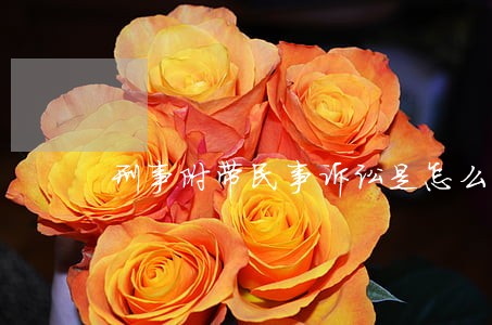 刑事附带民事诉讼是怎么回事 刑事附带民事诉讼是怎么回事