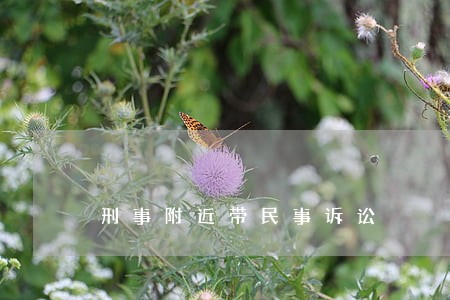 刑事附近带民事诉讼