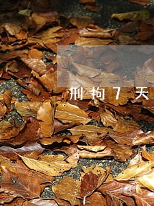刑拘7天导致信用卡逾期