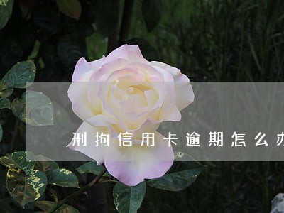 刑拘信用卡逾期怎么办