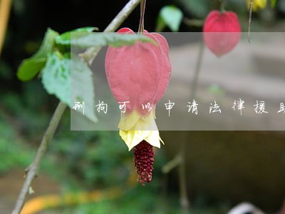 刑拘可以申请法律援助吗 刑拘可以申请法律援助吗