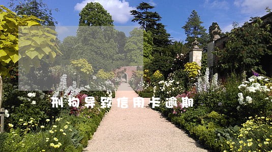 刑拘导致信用卡逾期 刑拘导致信用卡逾期