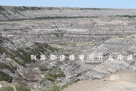 刑案取保候审写什么申请 刑案取保候审写什么申请