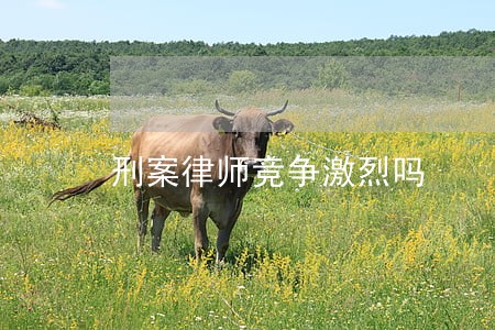 刑案律师竞争激烈吗 刑案律师竞争激烈吗