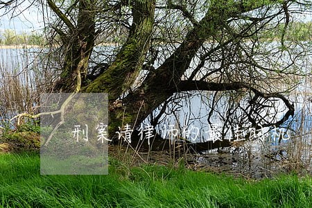 刑案请律师的最佳时机