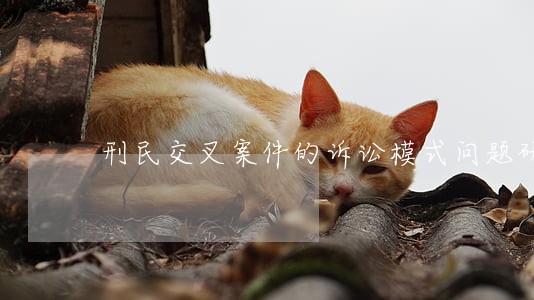 刑民交叉案件的诉讼模式问题研究
