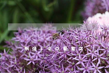 刑法120条条文 刑法120条条文
