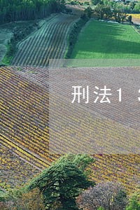 刑法133条危险驾驶罪量刑 刑法133条危险驾驶罪量刑
