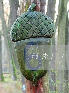 刑法17条第四款 刑法17条第四款