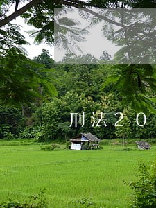 刑法201条补缴 刑法201条补缴