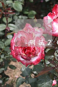 刑法20年10次修正 刑法20年10次修正