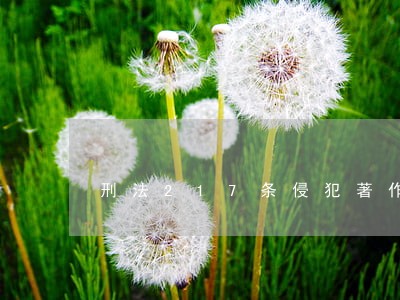 刑法217条侵犯著作权的立案标准 刑法217条侵犯著作权的立案标准