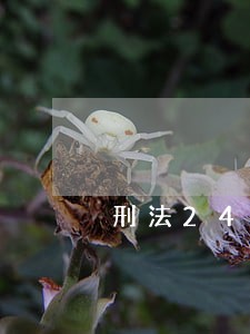 刑法24条内容是什么