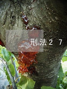 刑法270条侵占罪的数额 刑法270条侵占罪的数额