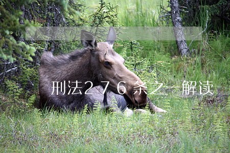 刑法276条之一解读 刑法276条之一解读
