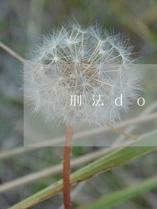 刑法doge的个人空间 刑法doge的个人空间